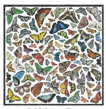 Butterflies XOXO Scarf