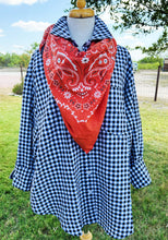 Reba Gingham Button Up